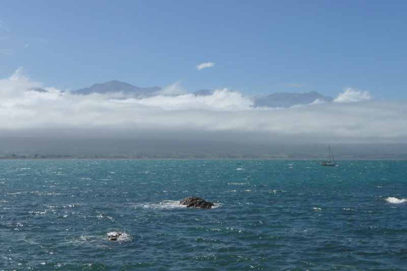 Nieuw-Zeeland 2011 - 1111